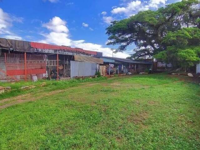 Área para Venda em Sapucaia do Sul - 5