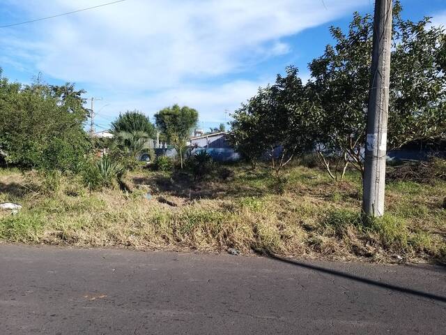 #3366 - Área para Venda em Sapucaia do Sul - RS - 3