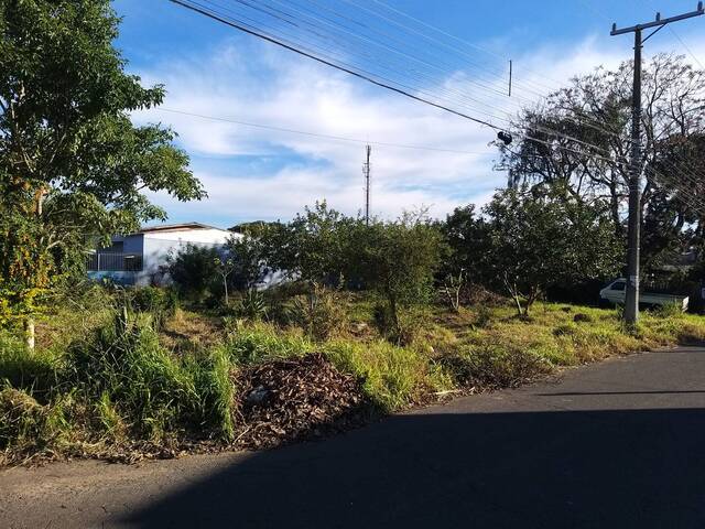 Área para Venda em Sapucaia do Sul - 5