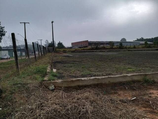 Área para Venda em Sapucaia do Sul - 4