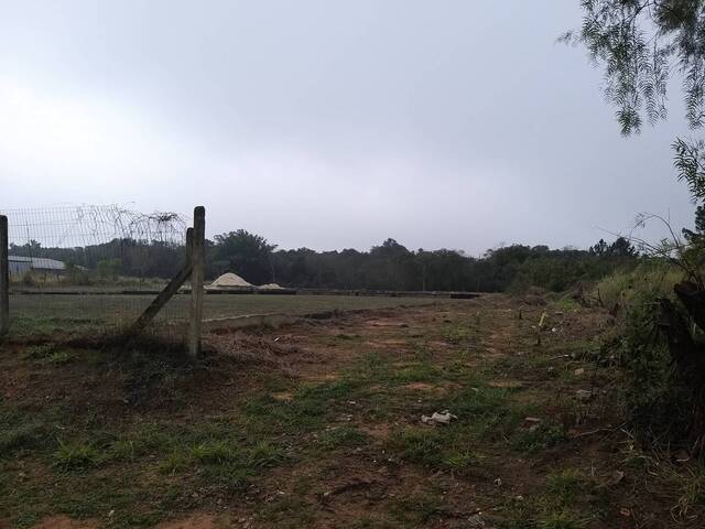 Área para Venda em Sapucaia do Sul - 5