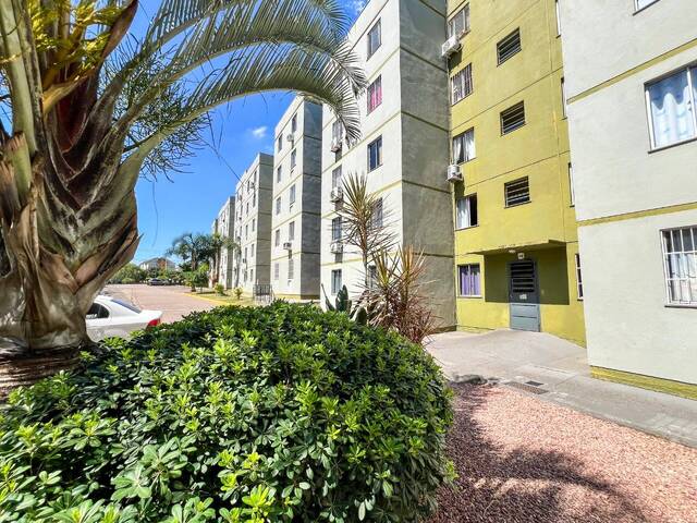 Apartamento para Venda em Sapucaia do Sul - 4